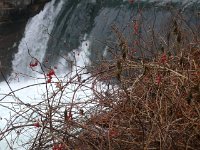 photos 2000-200902178